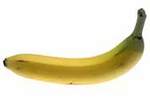 t_fruitbananab.jpg