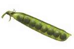 t_vegpeas.jpg